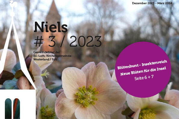 Niels-3-2023